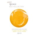 옐로피쉬 네이버블로그
