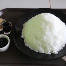 빙수목장