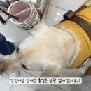 다이소경북 이미지