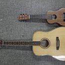 기타렐레(통기타) 이미지