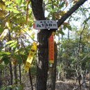 남지시장 이미지