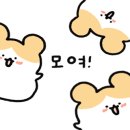 무주홀리데이파크 이미지