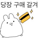 제주도 게스트하우스파티 빅썸 이미지