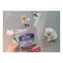 아지다펫 이미지