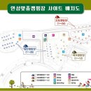 안성맞춤캠핑장 이미지
