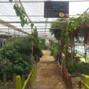 원평목장 이미지