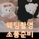 인터넷쇼핑몰 야간 | 웨딩촬영 소품 리스트 총정리! 예비신부 실제 준비 다이소부터 인터넷 구매까지