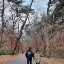 가족나들이 이미지