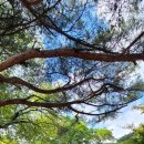 산정호수 가족글램핑 이미지