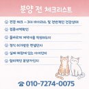 산청동물병원 | 함양요크셔테리어분양 제대로 찾는 방법, 기준부터 잡으면 선택은 바로 끝납니다