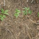 서상농장 이미지