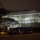 야참나라 이미지