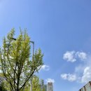 넘버원자동차피부과 이미지