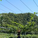 우리두리농장 이미지