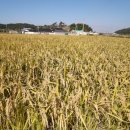 신지농장 이미지