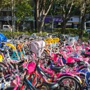 하나어린이공원 인라인스케이트장 이미지