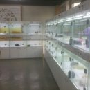 우리애견 이미지