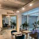 국제노래연습장 | 대구 수성못테니스 콩테니스 대구실내테니스장 레슨 후기