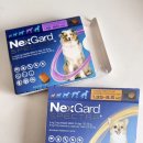 대동약국 | [부전대형약국]부산광역시 부산진구_넥스가드 스펙트라 가격 비교 | 직구 vs 약국(부산 약국 5곳 + 진주)