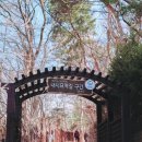 한국관광공사 추천 4월의 걷기여행길, 마음을 비우고 혼자 걷기 좋은 길 이미지