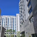 일박이일쓰리룸 이미지