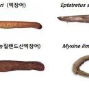 국립수산과학원 이미지