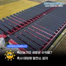(주)태양축산