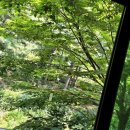 그늘막17 | 강서한강공원 그늘막 설치 허용구역 및 운영시간 주차장