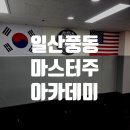언더독 복싱 킥복싱 MMA 주짓수 체육관 | 일산 풍동 주짓수 마스터주아카데미 MMA 체험후기