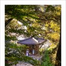 돌담가축인공수정소 | (충청도여행) 외암민속마을 풍경
