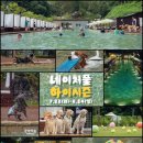 풀시즌