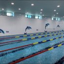 JS키즈스윔 이미지