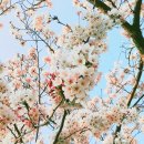 예뻐예
