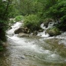 구룡령 옛길 이미지