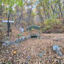 약진로변 이미지