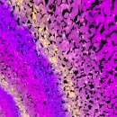 고요정원 이미지