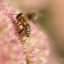 발효명가서초한의원 이미지