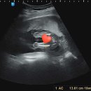 일산제일산부인과의원 이미지