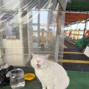 장포해상낚시1 | 삼길포항 우리좌대 후기 해상좌대 입어식 낚시 리얼 후기