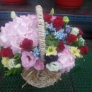 대양물류 이미지