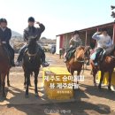 뷰 제주하늘 | 제주도 승마체험 코스 가격 제주투어패스 뷰 제주하늘 아이와 부모님과 체험 솔직후기