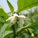 열매유치원 이미지