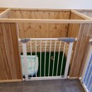 강아지를 미용하는 여자 이미지