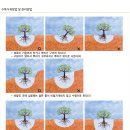 주식회사 농원 이미지