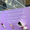 스노우폭스플라워쌍문점