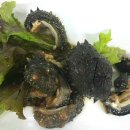 동신횟집 이미지