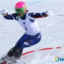 동계아시안게임/정동현, 이채원, 정소라 등 스키종목 평정 이미지