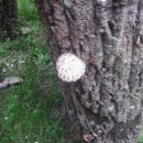 의신사천마을 이미지