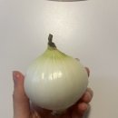웰마트정육 | [임산부 일상일기] 살찌는 거 너무 무섭다 😱24주 임산부 일상