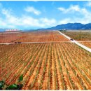 고산농장 1 이미지